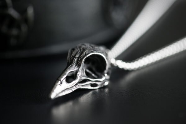 Découvrez ce collier, mettant en avant un pendentif en forme de crâne de corbeau, symbole de sagesse et de protection dans la mythologie nordique. Avec une chaîne de 60 cm et un pendentif mesurant 6 cm de hauteur sur 2,1 cm de largeur, ce bijou en acier inoxydable allie durabilité et esthétique. Proposé en dropshipping, vous bénéficiez d'une large sélection de bijoux à des prix compétitifs. Portez-le fièrement pour ajouter une touche audacieuse à votre style, qu'il s'agisse d'une occasion spéciale ou d'un usage quotidien.